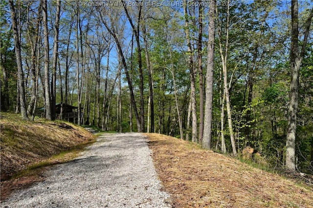 view of street featuring a wooded view