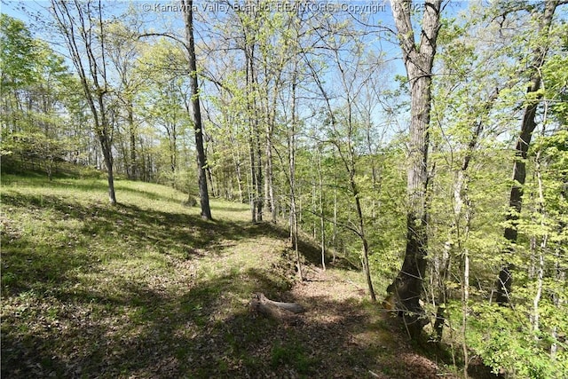 view of landscape with a forest view
