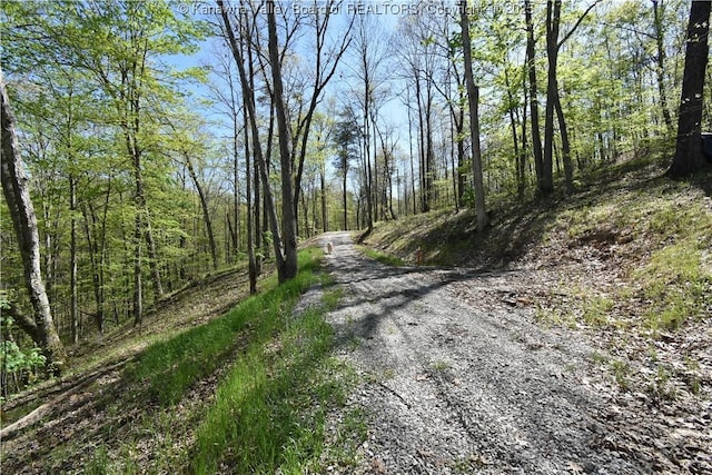 view of road featuring a view of trees