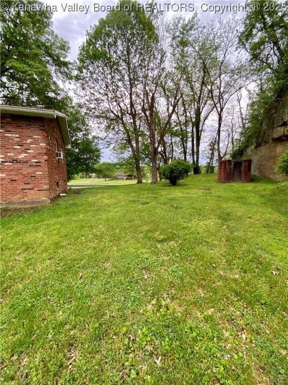view of yard