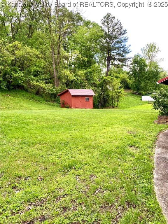 view of yard featuring an outbuilding and a storage shed