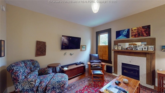 840 13th Ave, Huntington, WV 25701 - living area featuring wood finished floors and a glass covered fireplace