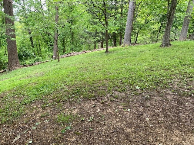 1407 Longridge Rd, Charleston, WV 25314 - view of grassy yard featuring a wooded view