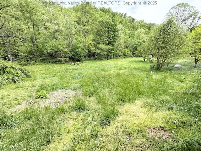 12027 Chap Rd, Wv, WV 25204 - view of wooded area