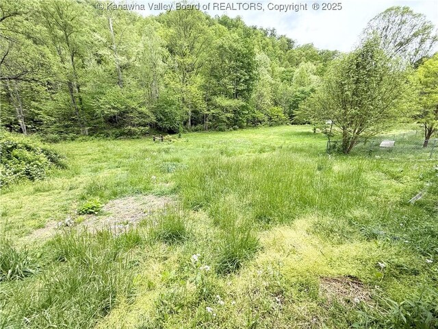 12027 Chap Rd, Wv, WV 25204 - photo 11