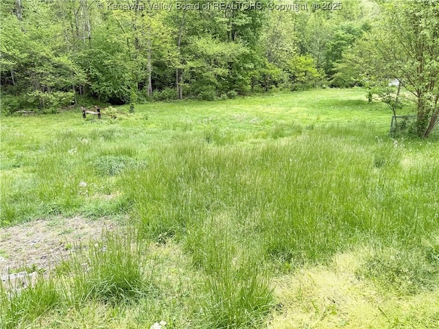 12027 Chap Rd, Wv, WV 25204 - view of wooded area
