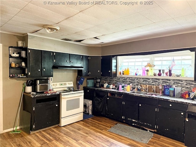 12027 Chap Rd, Wv, WV 25204 - kitchen with white electric range oven, crown molding, dark cabinetry, a sink, and tasteful backsplash