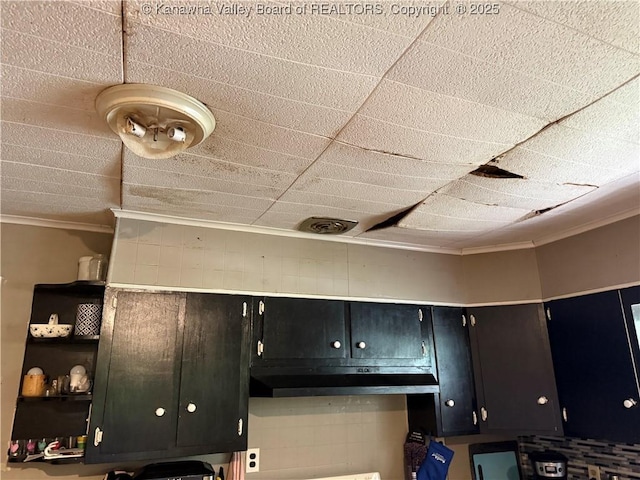 12027 Chap Rd, Wv, WV 25204 - kitchen with crown molding, under cabinet range hood, and dark cabinetry