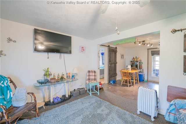 28 Tracy Ln, Summersville, WV 26651 - carpeted living room featuring a barn door, radiator, and baseboards