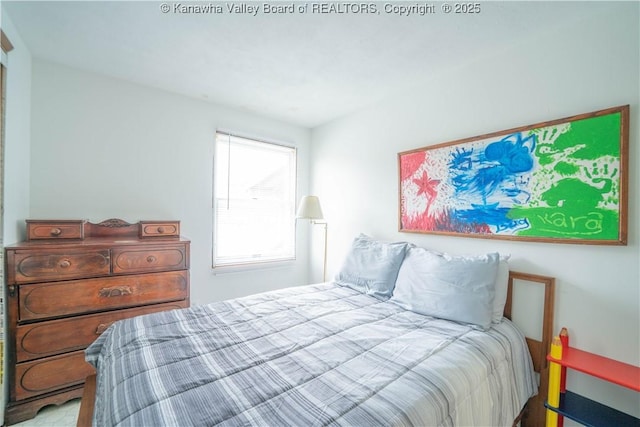 28 Tracy Ln, Summersville, WV 26651 - view of bedroom