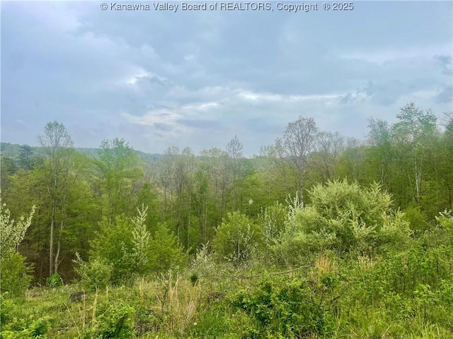 0 Lumber Ridge Rd, Ripley, WV 25271