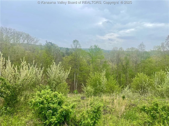 0 Lumber Ridge Rd, Ripley, WV 25271