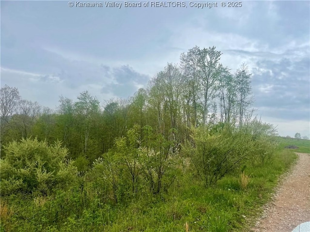 0 Lumber Ridge Rd, Ripley, WV 25271
