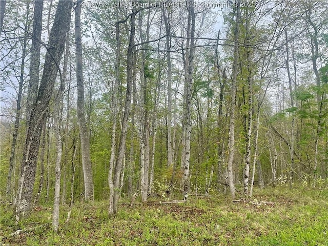 0 Lumber Ridge Rd, Ripley, WV 25271