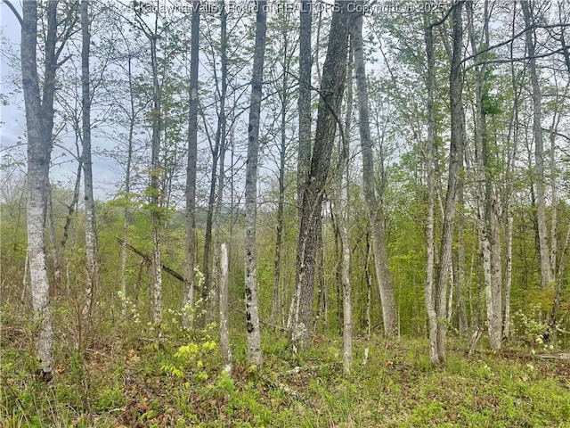 0 Lumber Ridge Rd, Ripley, WV 25271