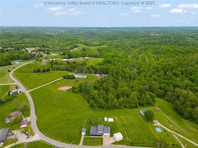 drone / aerial view of a forest