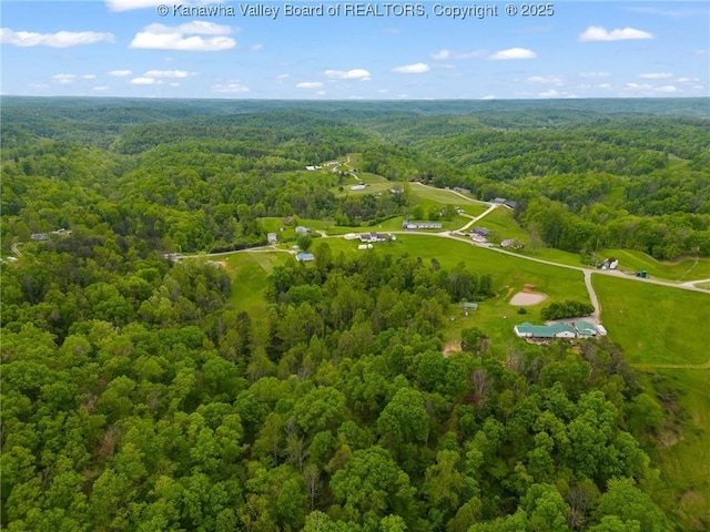 drone / aerial view of a heavily wooded area