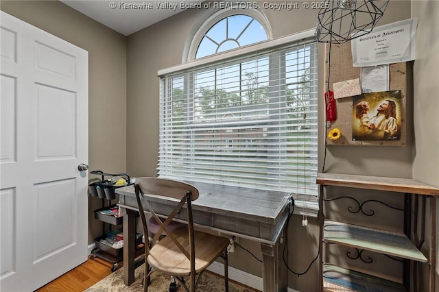 office space featuring wood finished floors