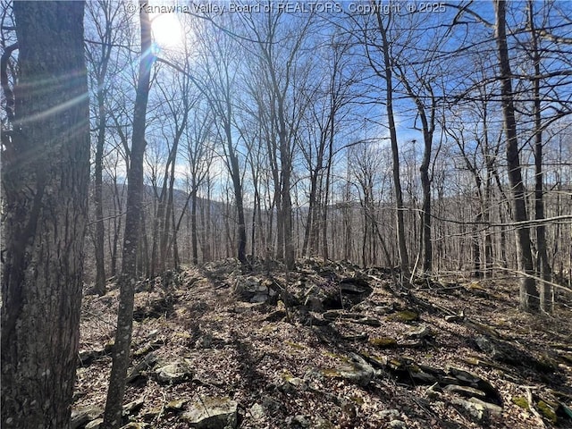 6531 Lockbridge Rd, Wv, WV 25976 - view of undeveloped land