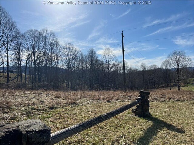 6531 Lockbridge Rd, Wv, WV 25976 - view of yard