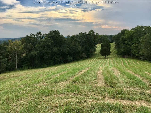 728 Honeycutt Rd, Fraziers Bottom, WV 25082 - view of yard featuring a wooded view