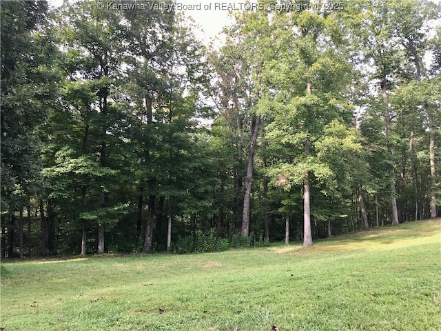 728 Honeycutt Rd, Fraziers Bottom, WV 25082 - view of wooded area