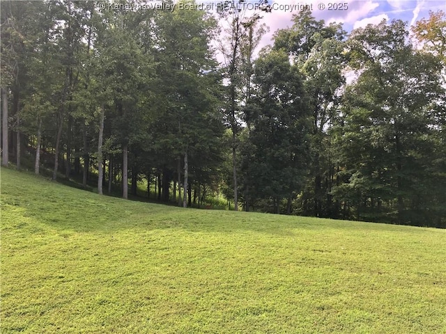 728 Honeycutt Rd, Fraziers Bottom, WV 25082 - view of grassy yard