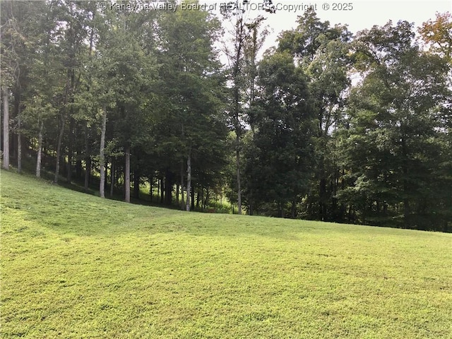 728 Honeycutt Rd, Fraziers Bottom, WV 25082 - view of grassy yard
