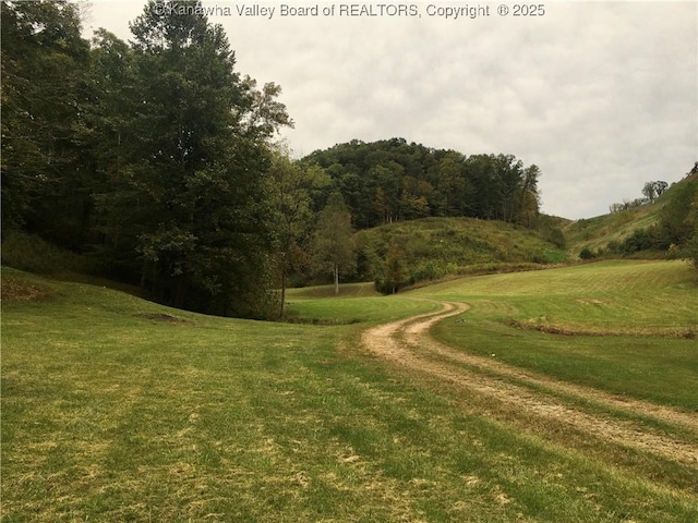 728 Honeycutt Rd, Fraziers Bottom, WV 25082 - view of property's community featuring a lawn