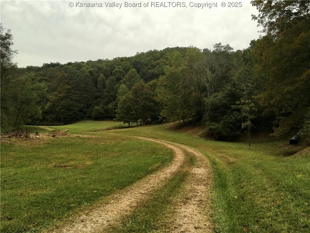 728 Honeycutt Rd, Fraziers Bottom, WV 25082 - view of street featuring a forest view
