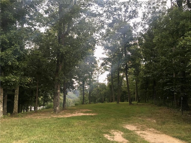 728 Honeycutt Rd, Fraziers Bottom, WV 25082 - view of grassy yard featuring a wooded view