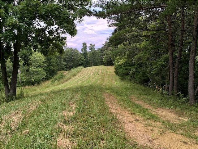 728 Honeycutt Rd, Fraziers Bottom, WV 25082 - view of tree filled area