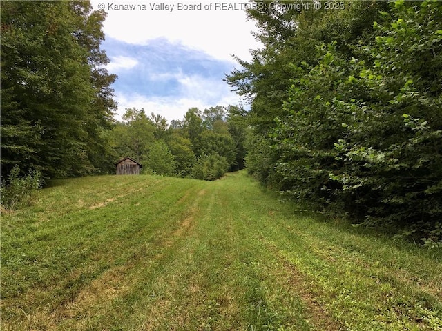 728 Honeycutt Rd, Fraziers Bottom, WV 25082 - view of yard with an outbuilding and a forest view