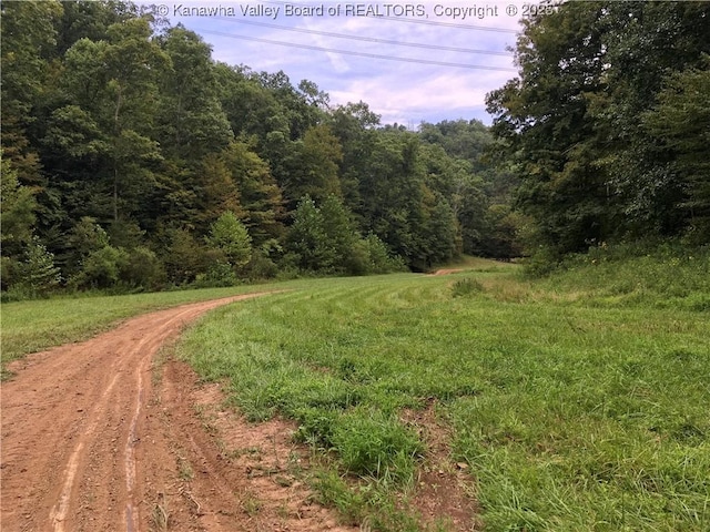 728 Honeycutt Rd, Fraziers Bottom, WV 25082 - view of tree filled area