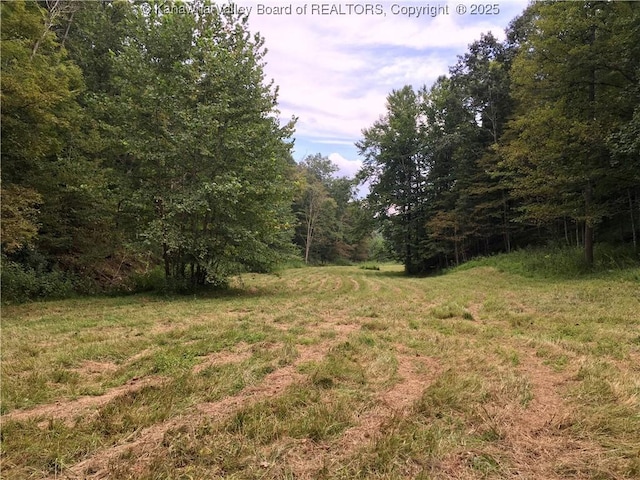 728 Honeycutt Rd, Fraziers Bottom, WV 25082 - view of yard featuring a wooded view