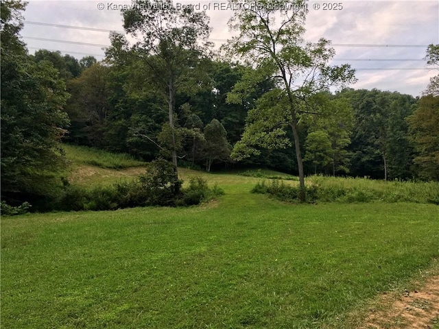 728 Honeycutt Rd, Fraziers Bottom, WV 25082 - view of grassy yard with a view of trees