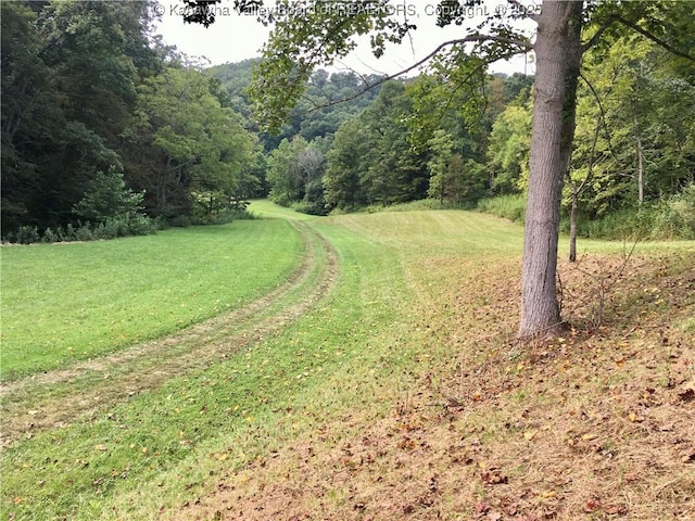 728 Honeycutt Rd, Fraziers Bottom, WV 25082 - view of green lawn with a wooded view