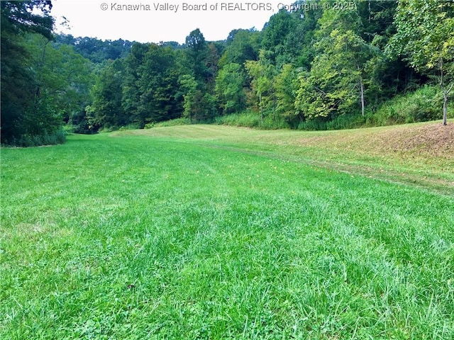 728 Honeycutt Rd, Fraziers Bottom, WV 25082 - view of grassy yard featuring a view of trees