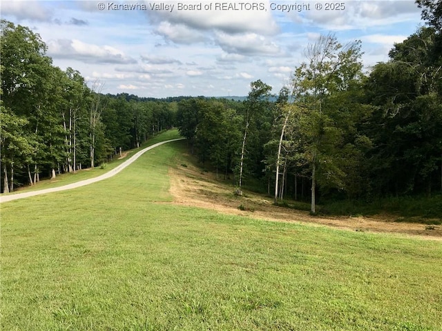 728 Honeycutt Rd, Fraziers Bottom, WV 25082 - view of road featuring a forest view