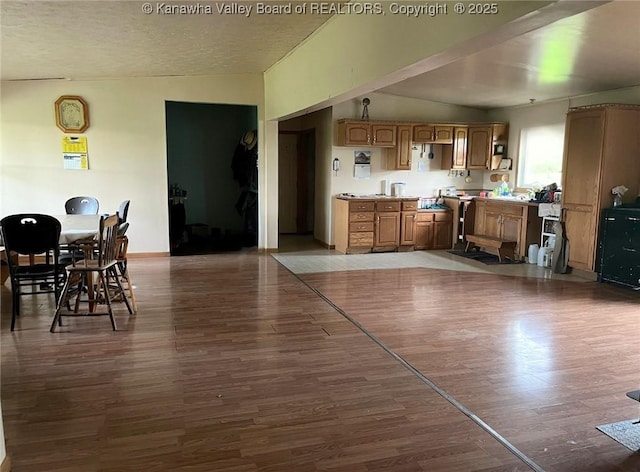 5860 Union Campground Rd, Letart, WV 25253 - living room with wood finished floors and vaulted ceiling