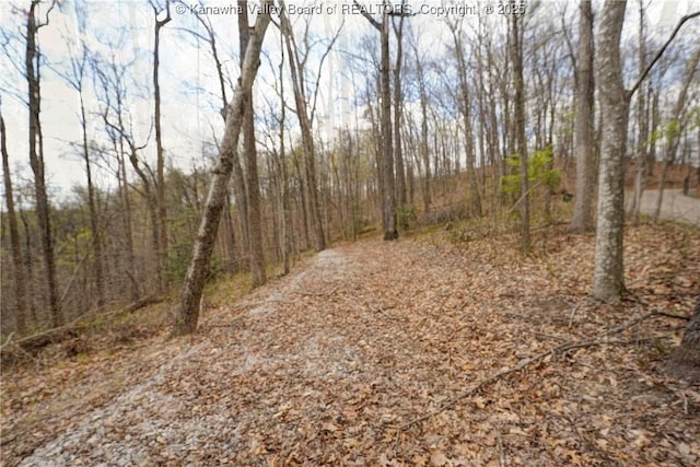 0 Stonehenge Rd, Charleston, WV 25314 - photo 16