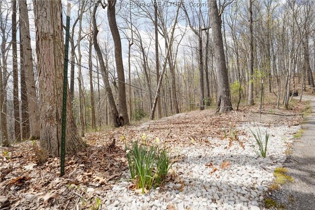 0 Stonehenge Rd, Charleston, WV 25314 - photo 17
