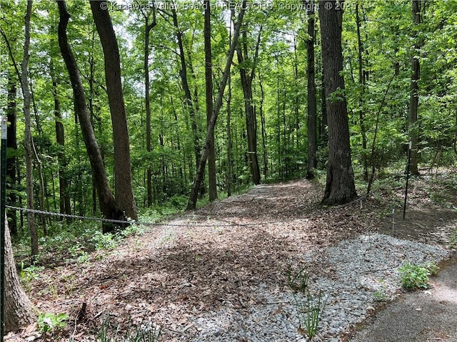 0 Stonehenge Rd, Charleston, WV 25314 - photo 1