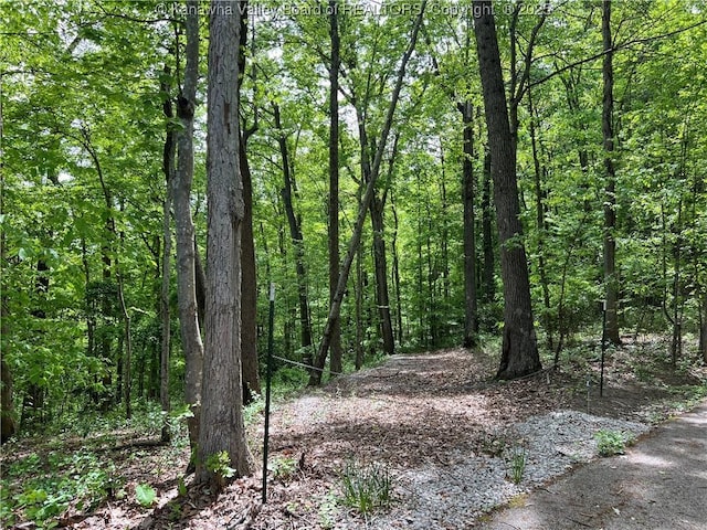 0 Stonehenge Rd, Charleston, WV 25314 - photo 2