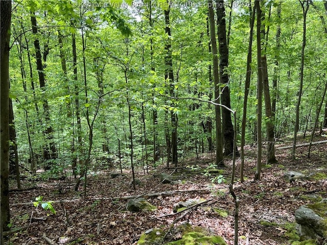 0 Stonehenge Rd, Charleston, WV 25314 - photo 3