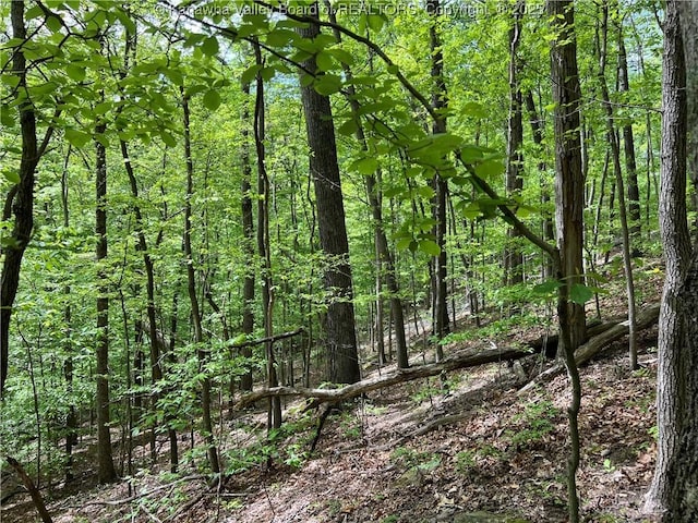 0 Stonehenge Rd, Charleston, WV 25314 - photo 4