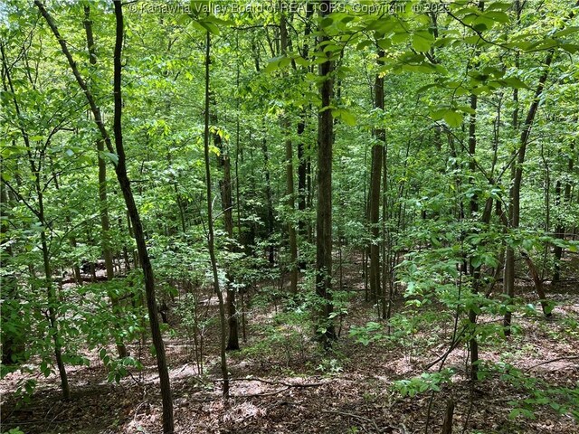 0 Stonehenge Rd, Charleston, WV 25314 - photo 8