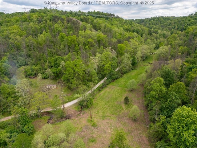 2656B Coleman Creek Rd, Fraziers Bottom, WV 25082 - photo 7