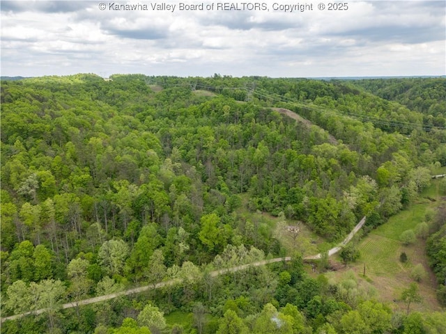2656B Coleman Creek Rd, Fraziers Bottom, WV 25082 - photo 11