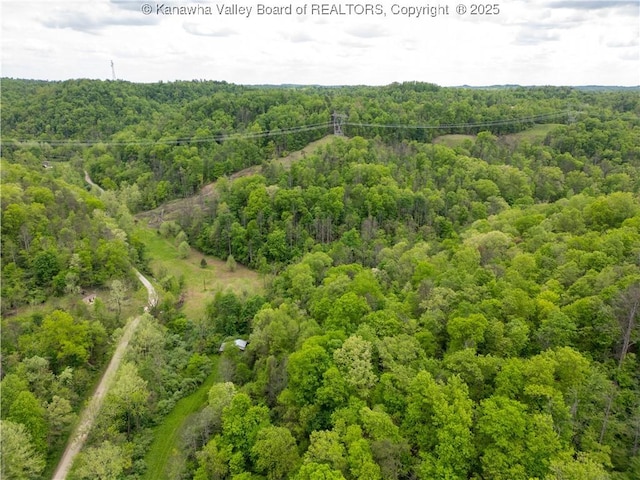 2656B Coleman Creek Rd, Fraziers Bottom, WV 25082 - photo 12